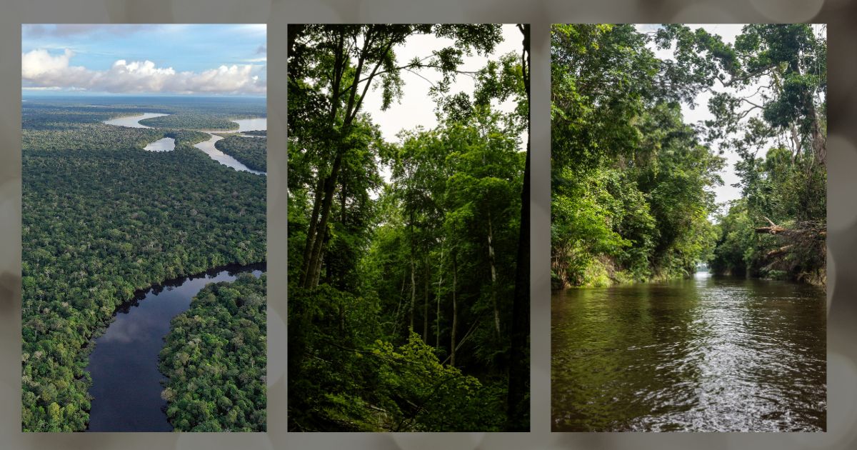 Suriname’s hidden capital: looking beyond oil and gas